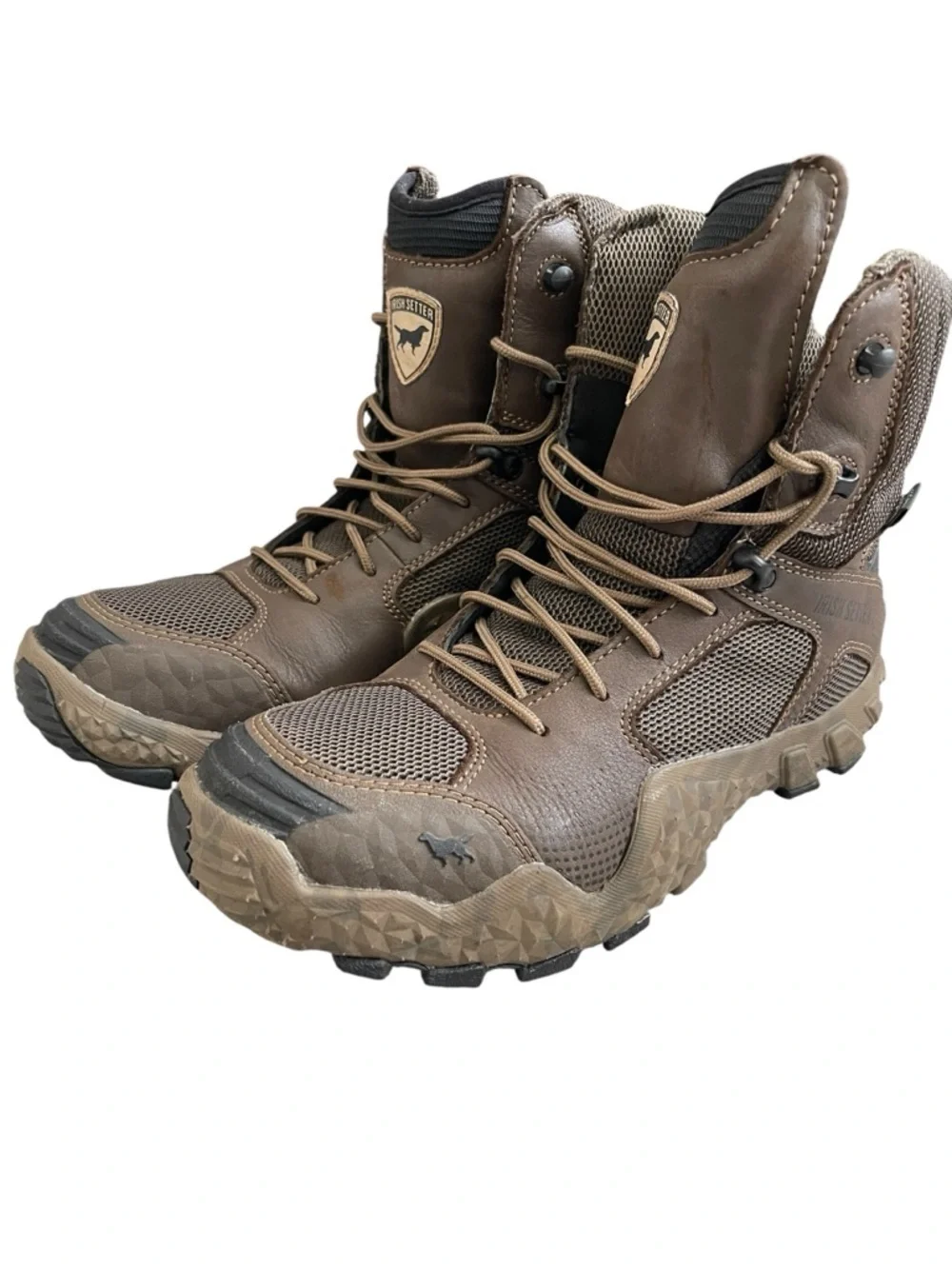 Irish Setter cushin comfort